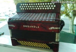 imagem_7