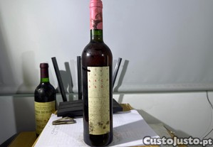 imagem_6
