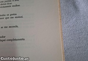 imagem_8