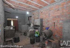 imagem_21