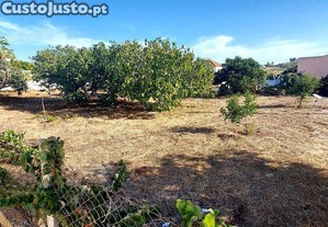 Terreno em Algoz e Tunes