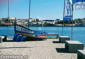 imagem_21