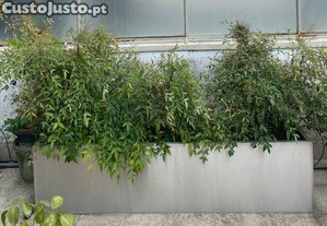 floreira em aço inox