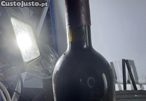 imagem_4