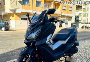 Sym Cruisym 300