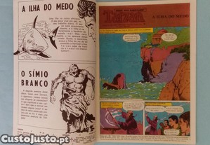 imagem_3