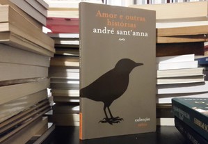 André Sant' Anna - Amor e outras histórias