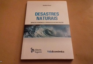 Desastres Naturais Impacto económico