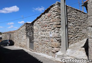 imagem_11