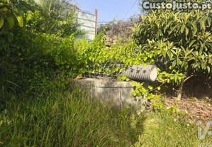imagem_28