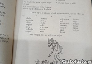 imagem_3