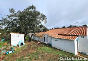 imagem_27
