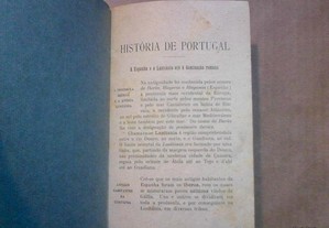 imagem_3
