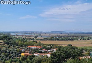 Terreno em Chamusca e Pinheiro Grande de 712,00 m