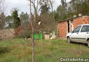 imagem_1