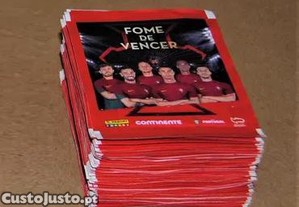 imagem_1