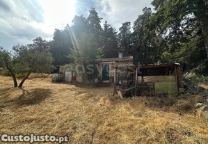 Excelente Terreno Rstico Com Casa De Apoio E...