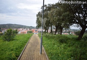 imagem_10