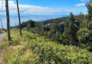 Terreno para construção em Madeira de 780,00 m²