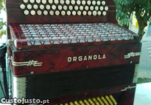 imagem_1