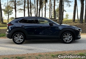 imagem_6