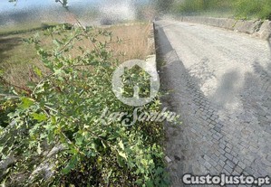 imagem_7
