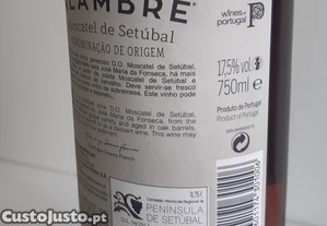 imagem_7