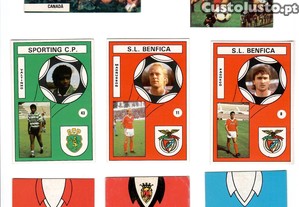 imagem_1