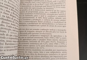 imagem_5
