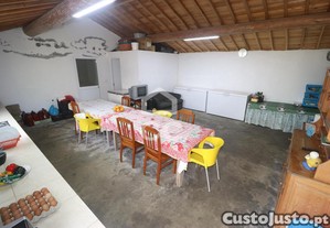 imagem_29