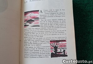 imagem_5