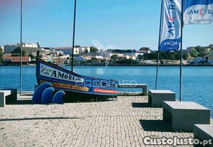 imagem_20