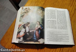 imagem_6