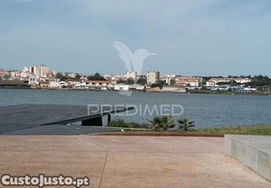 imagem_16