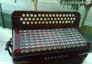 imagem_5