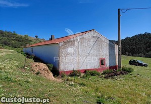 imagem_17