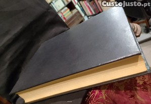 imagem_8