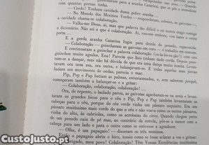 imagem_6
