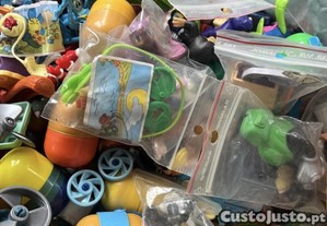 imagem_1