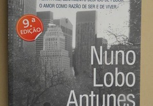 "Sinto Muito" de Nuno Lobo Antunes