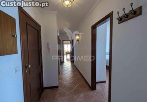 imagem_11