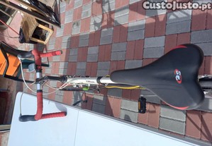 Bicicleta italiana profesional