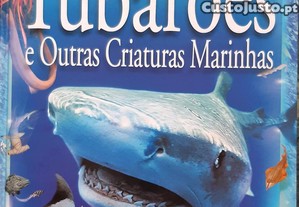 imagem_7