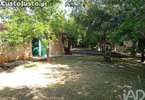 imagem_21