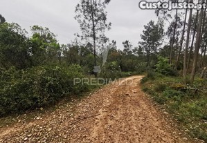 Terreno rustico
