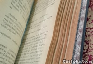 imagem_6