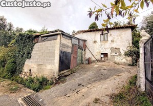 imagem_13