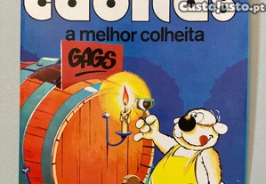 imagem_5