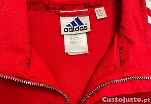 imagem_3