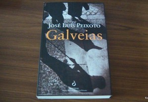Galveias de José Luís Peixoto